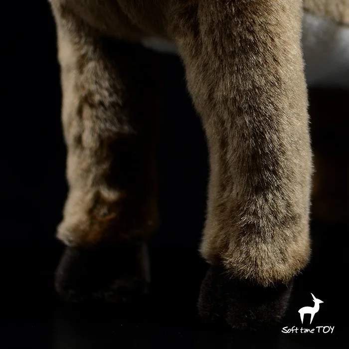 O1CN010Snxg51DnZyYsFvTO_!!22080261