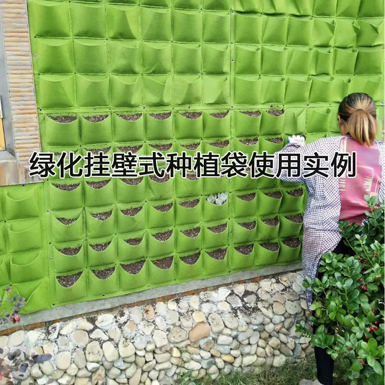 13569233860_1432856766