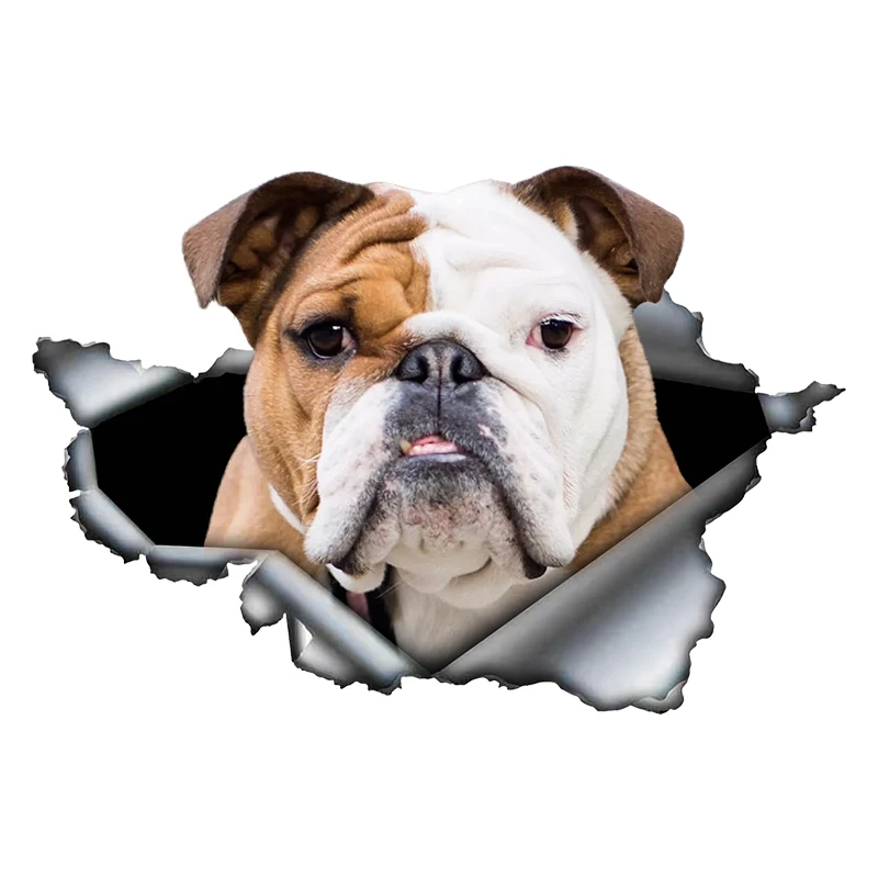 

CK20909# Various Sizes Self-adhesive Decal English Bulldog V3 Car Sticker Waterproof Auto Decors on Bumper Rear Window Laptop