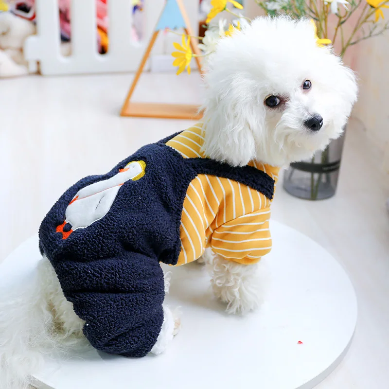 pet circle dog clothes