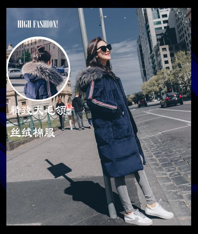 Photo Shoot Contrast Color Webbing Large Fur Collar Hooded Cotton-padded Clothes Women's CHIC Textured Dark Blue Velvet Loose-Fi