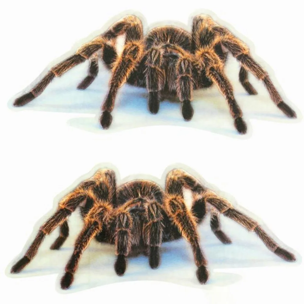 QC66901-C-20090703-1