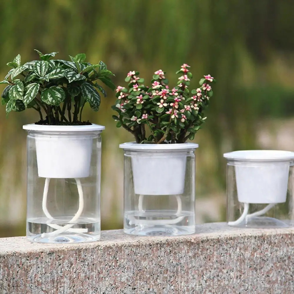

40%HOTClear Automatic Water Absorption Self Watering Hydroponic Flower Pot Planter