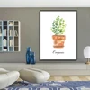 Water color  Kitchen Wall Art Canvas Posters Prints Decor Oregano Thyme Rosemary Parsley Green Plant Art Painting Pictures 4