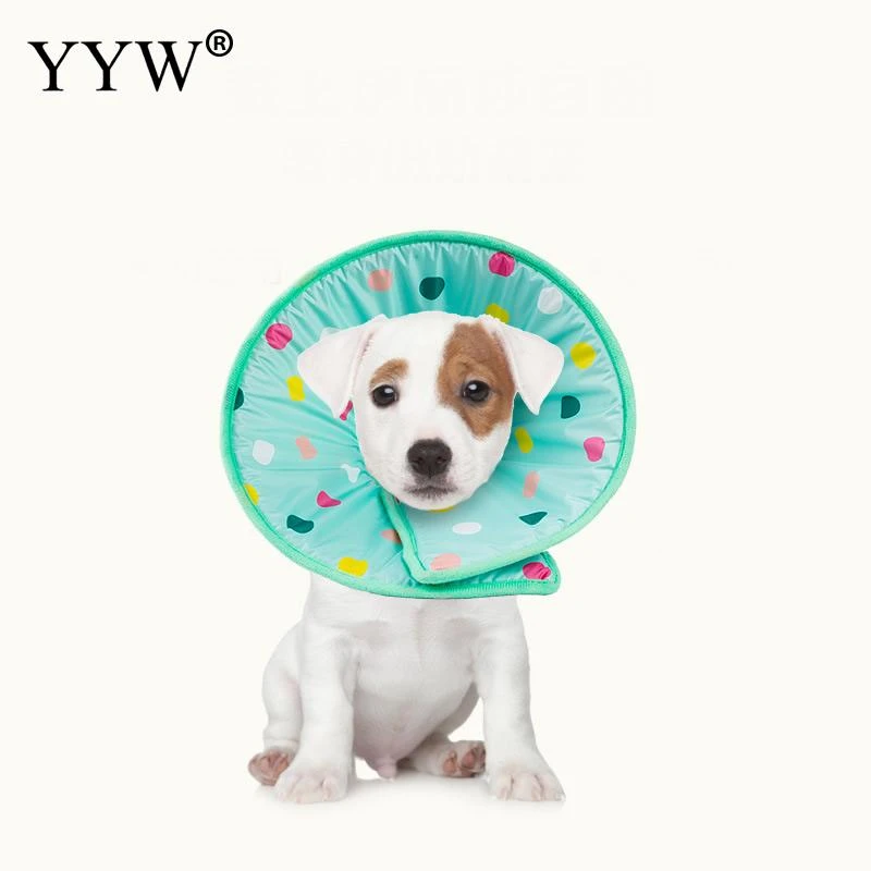 かわいいペットサークル犬猫保護カバースリーブ創傷治癒コーン抗一口 