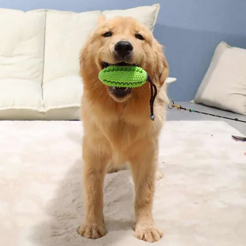 Pet Dog утечки еды диспенсер эластичный резиновый мяч зубная щетка сброс давления укуса устойчивая игрушка для прорезывания зубов тренировочная упражняющая игрушка