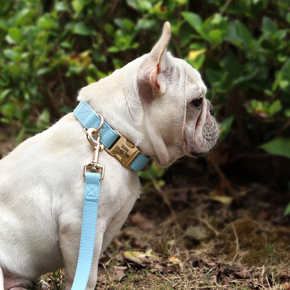 Dior - Leather PU Dog Collar - Blue