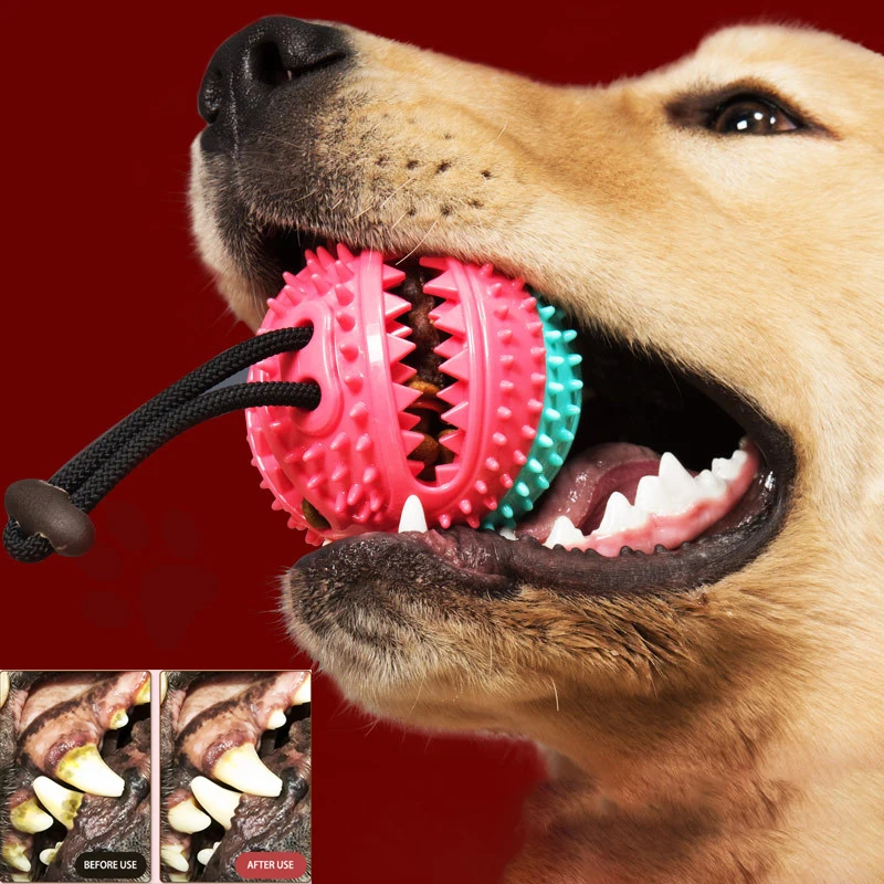 

Dog Toy Training interaction Elasticity Ball pet toy Bad breath Clean teeth rubber molar Ball Sound device Pet supplies