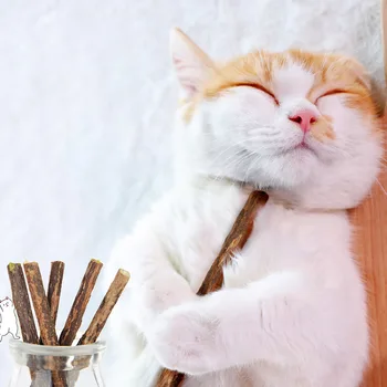 

10/20/50/100pcs Natural Catnip Pet Cat Toy Cat Snack Sticks Pet Cleaning Teeth Pure Wood Polygonum Molar Safety Toothpaste Stick