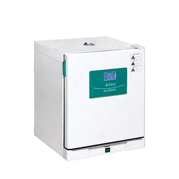 

(220v) DH--L high-quality laboratory electric incubator, CE compliant, suitable for medium laboratories of Scientific Laboratori