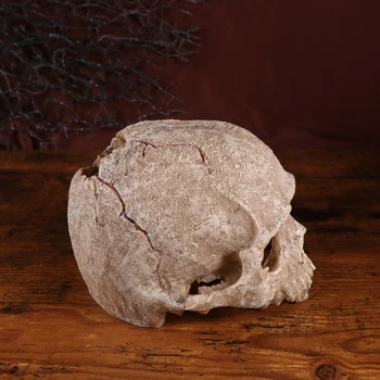 

1pc Skull Ornament Resin Halloween Decor Skull Ornament for Halloween Home Party