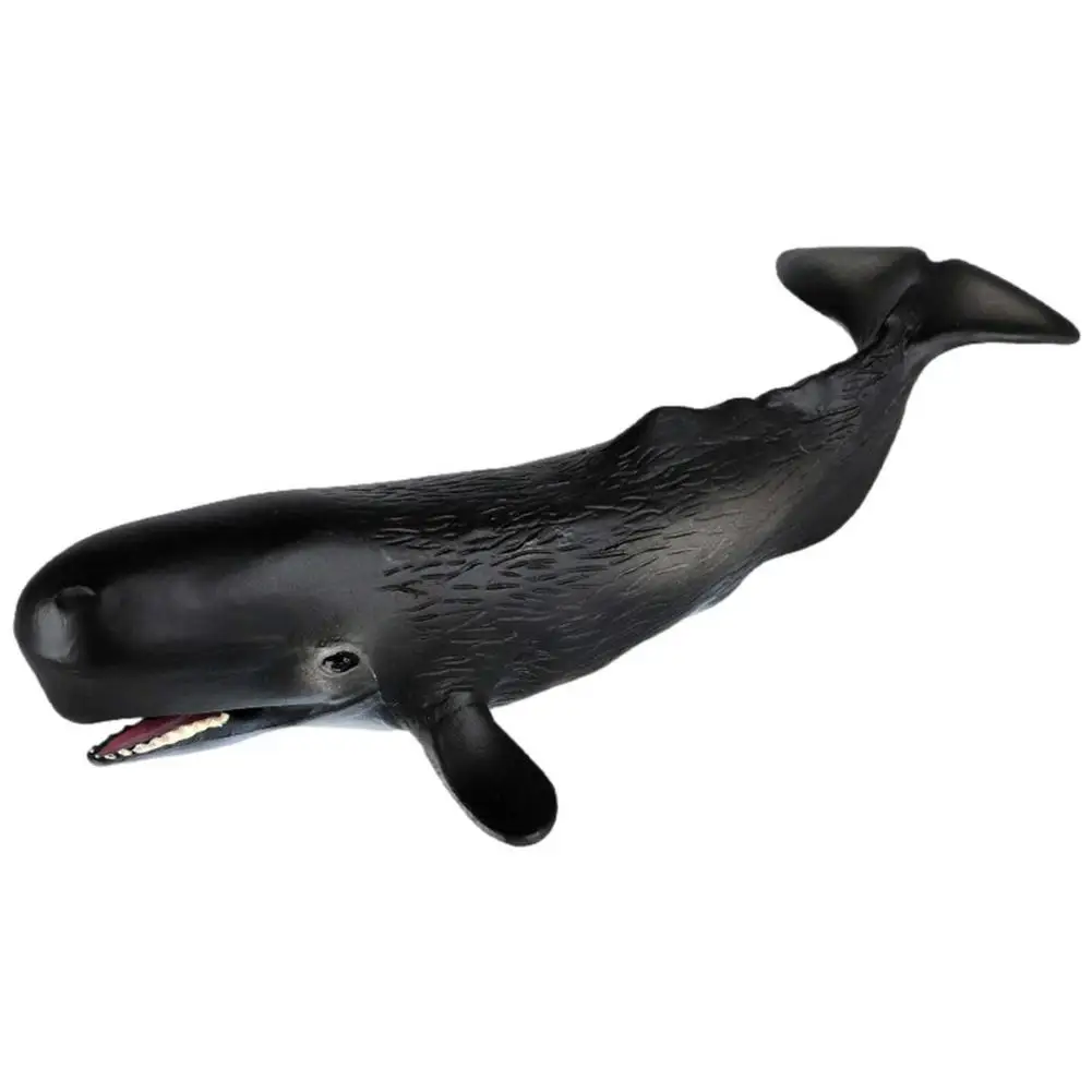 Realistic Sea Animal Figurines Sperm Whale Model Static Plastic Whale Ornament Sea Creatures Educational Toys Gift Action Figures Aliexpress Realistic Sea Animal Figurines Sperm Whale Model Static Plastic Whale Ornament Sea Creatures Educational Toys Gift Action Figures Aliexpress