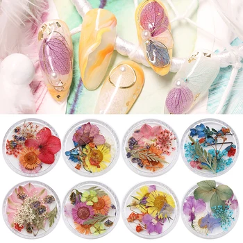 

1 Box Dried Flower Leaf Colorful Mixed Size Colors Natural Floral 3D Nail Art Beauty Design DIY Decoration Accessories