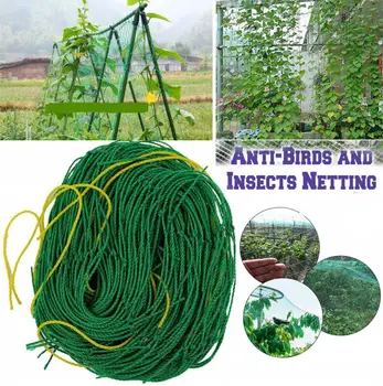 

Durable Nylon Mesh Anti Bird pest Net Pond Net Garden Fruit Tree Vegetables Plant Support for Climbing Orchard Protection Net
