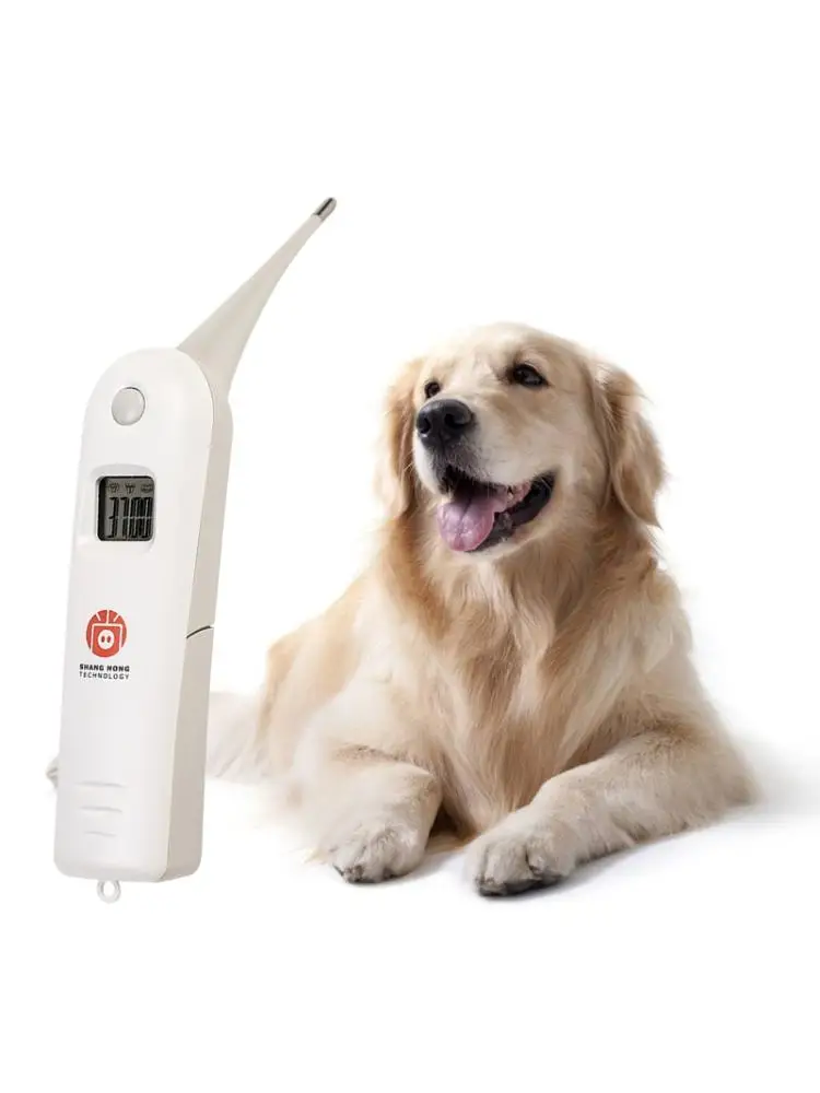 7HH1403384-effect-copy