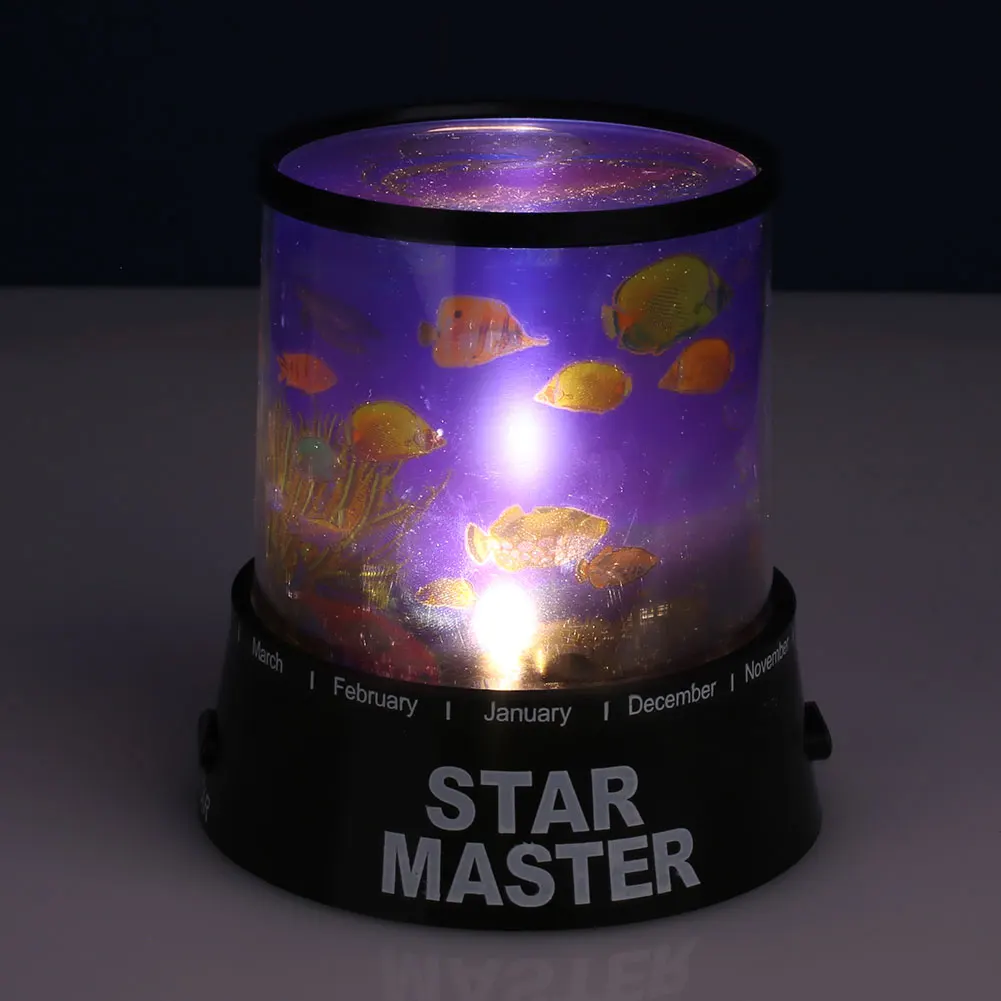 Premium Novelty Cosmos Master Button Bedroom Gift Home and Living Starry LED High Performance 4.5V Baby Romance Interior Design