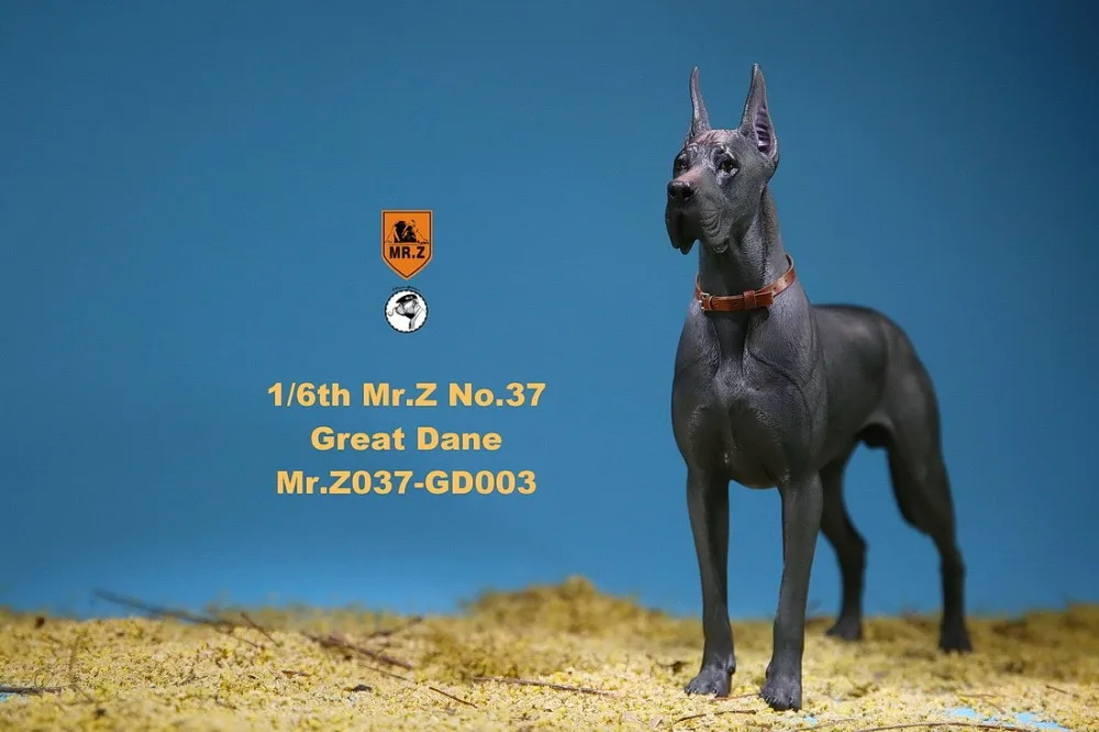 27