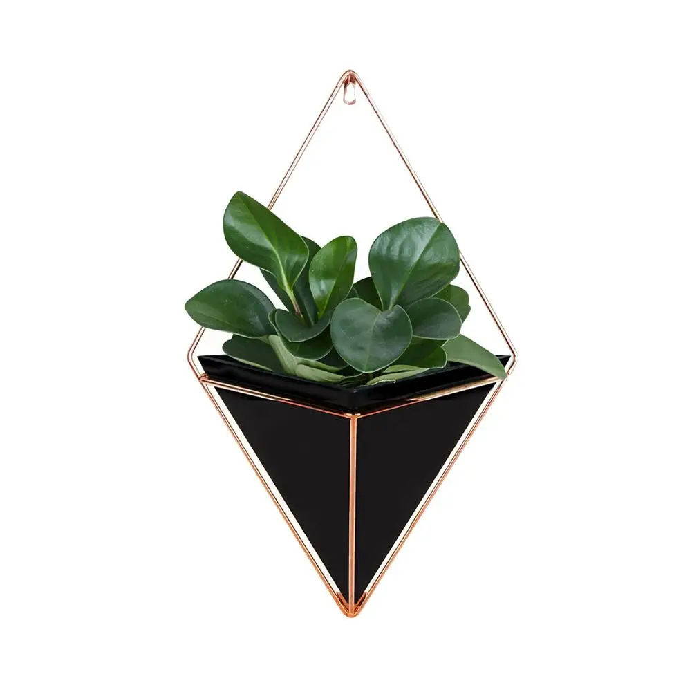 

Home Wall Decorations Geometric Hanging Flower Pots Holder Garden Succulent Plants Pot Hanger Decor For Succulent Cacti