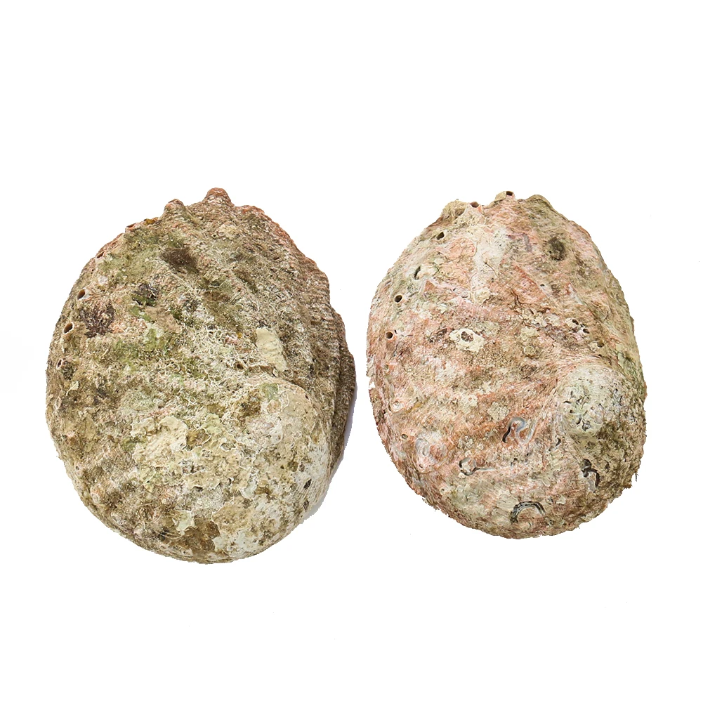 H2e13a0e98ac147f8ae201c0d2a9cd0bcE.jpg?width=1001&height=1001&hash=2002