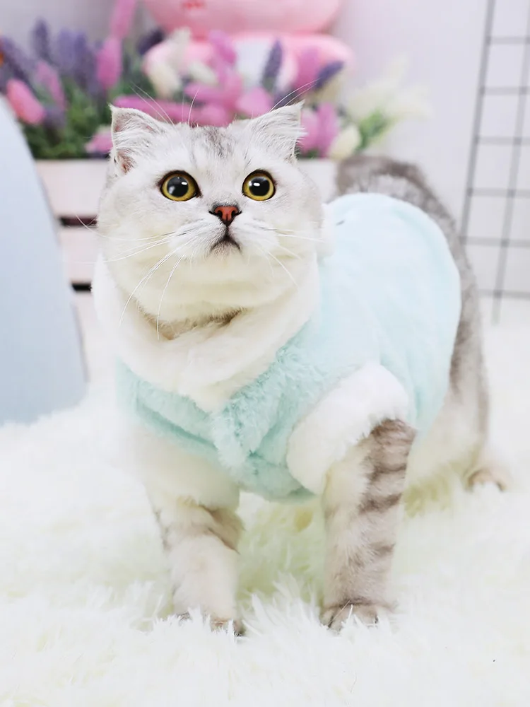 Одежда для кошек, одежда для кошек, осенне-зимняя одежда для кошек, зимняя одежда, теплая маленькая молочная кошка BB5WY38