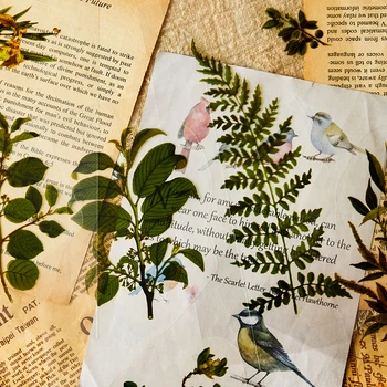 

The Secret of Forest Stickers Set 7 Sheet Dried Flower and Plants PET Materil Note Sticker Diary Album Decoration H6128