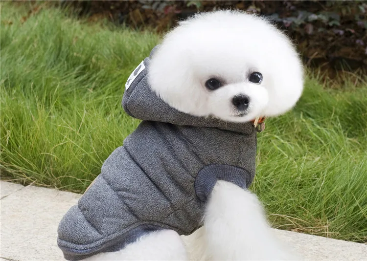 3504517843_1943486756