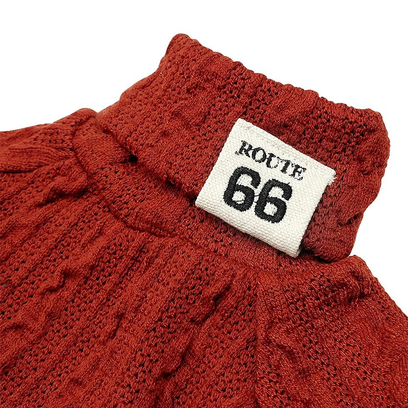 Winter Thickening Pet Cat Dog Clothes Knit Sweater High Collar Warm Soft Pet Sweater For Small 5