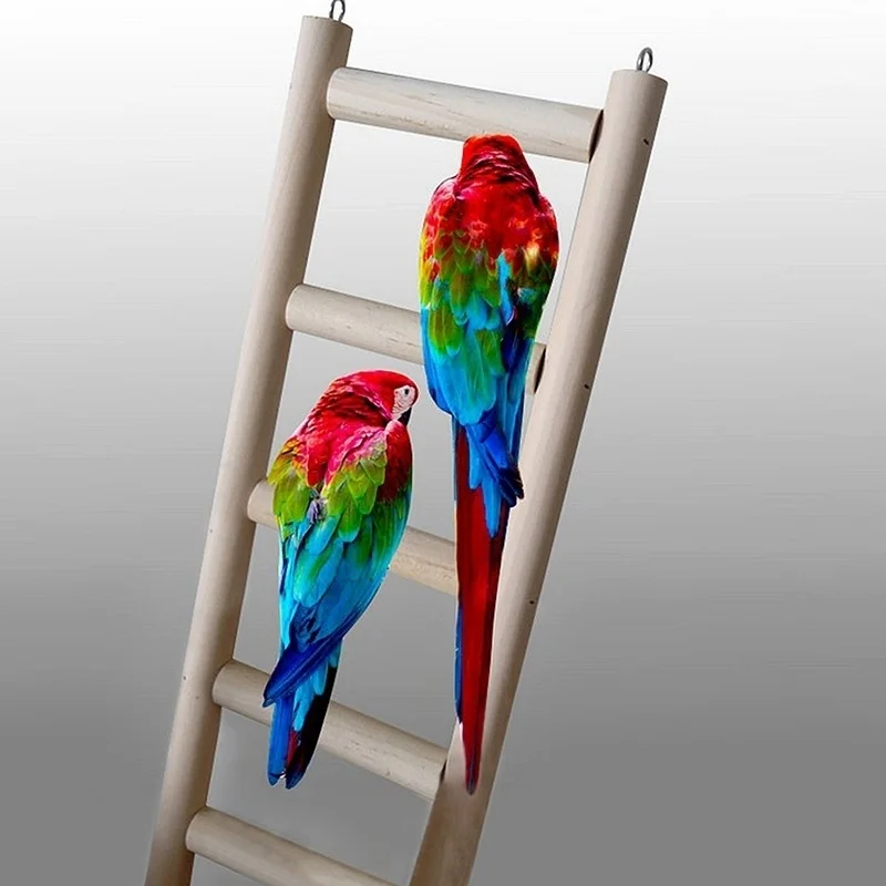 Wooden Small Ladder Pet Bird Budgie Parrot Hamster Gerbil Mouse Cage Ladders Toy 