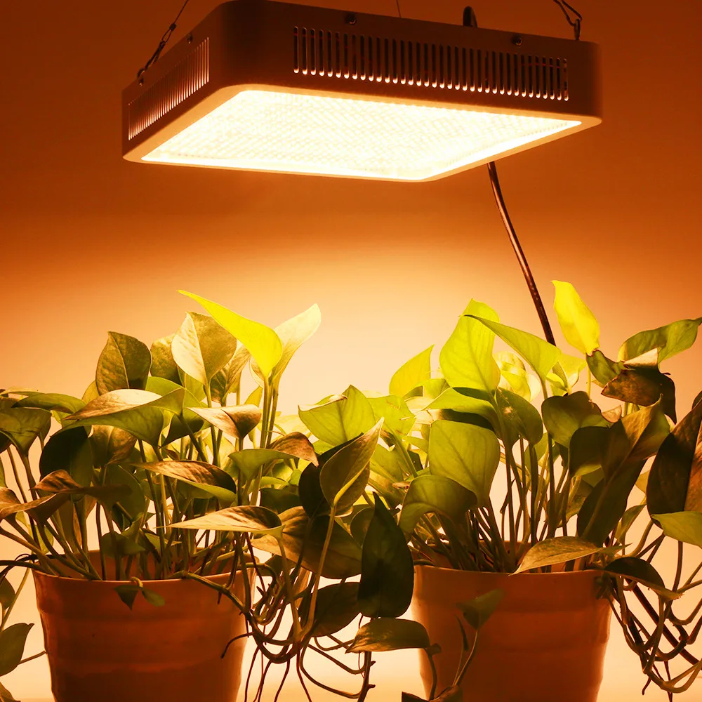 800W 500W Full Spectrum LED Grow Light Greenhouse Tent Horticulture Grow Lamp for Indoor Plant Flowering Growth