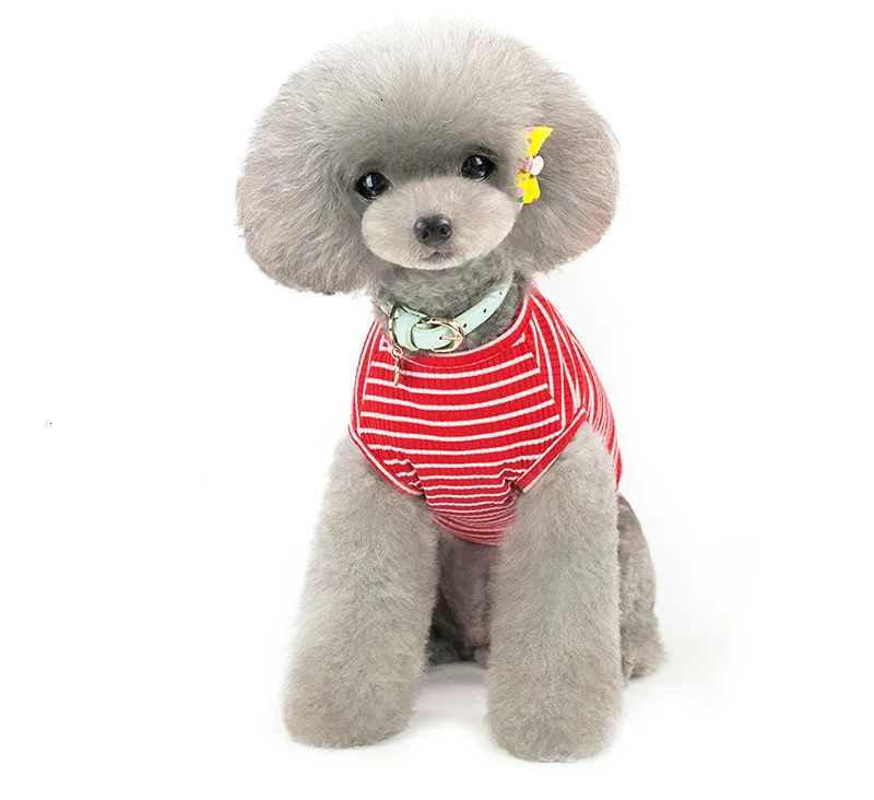 Pawstrip жилетка в полоску для собак летняя одежда для собак чихуахуа Ши тцу футболка со щенком одежда мягкая футболка для собак для маленьких собак S-2XL