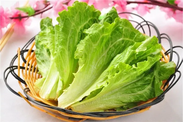 Смешанный салат бонсай, салат сад, здоровые растительные растения-300 Флорес частицы