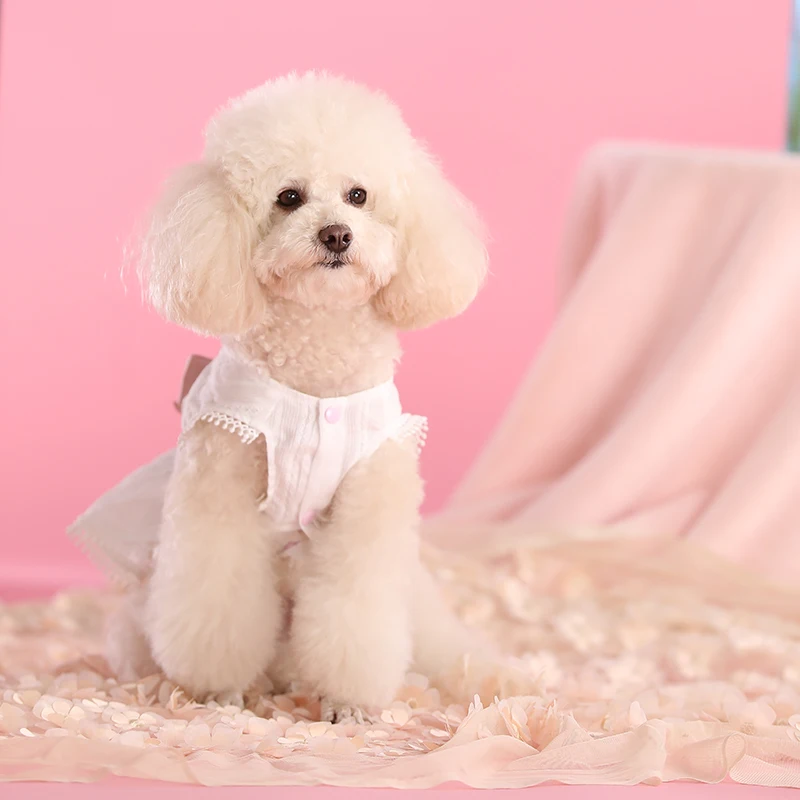 HOOPET Clothes For Small Dogs Princess Dress For Dogs Lace Tullle Pet Dress York Dog Clothes Cat Bargains Comfortable Dog