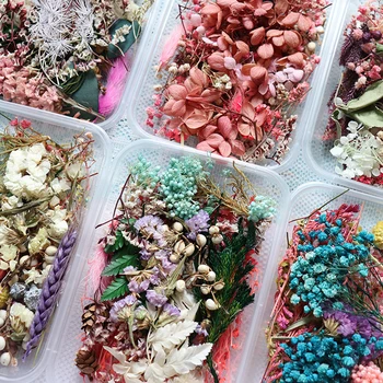 

1 Box Real Dried Flower Dry Plants For Aromatherapy Candle Epoxy Resin Pendant Jewelry Soap Making Craft DIY Accessories