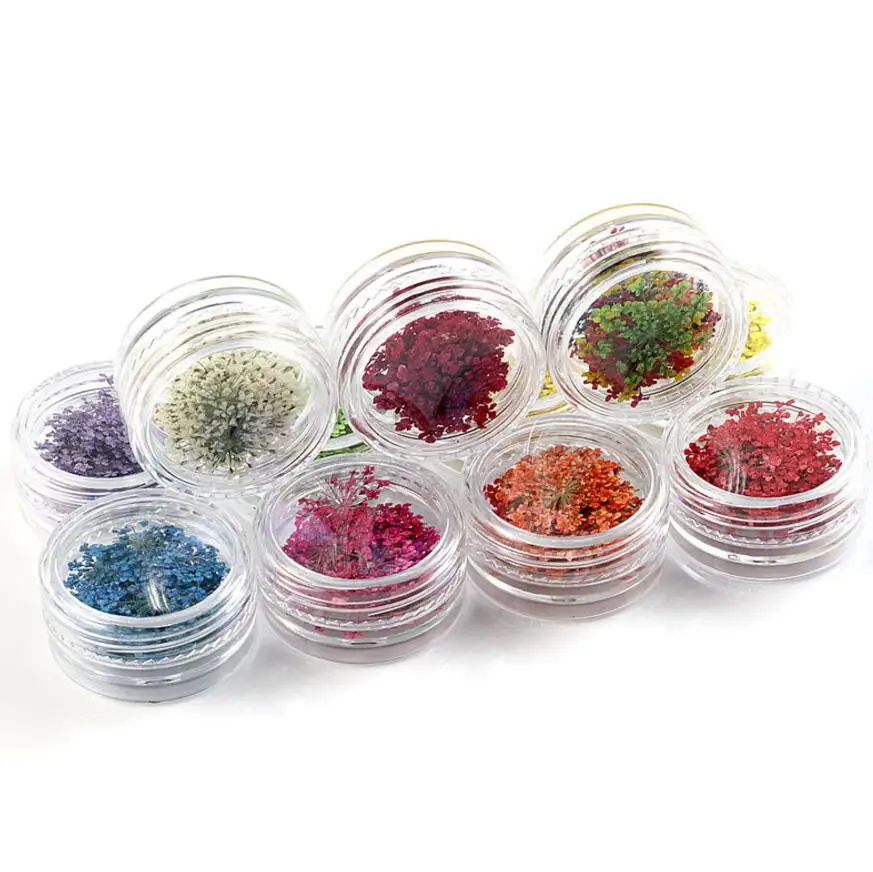 Прессованный высушенный цветок Ammi Majus 100 шт. для нейл арта эпоксидная смола