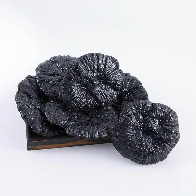 

China Changbai Mountain Wild ganoderma Ganoderma Ganoderma lucidum Anti-tumor prevent cardiovascular disease Improve immunity