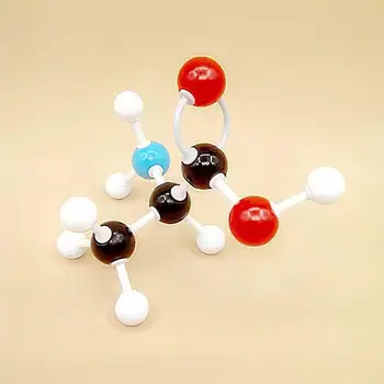 

Organiced Chemistry Scientific Atom Molecular Structure Models Teach Aid Set Kit
