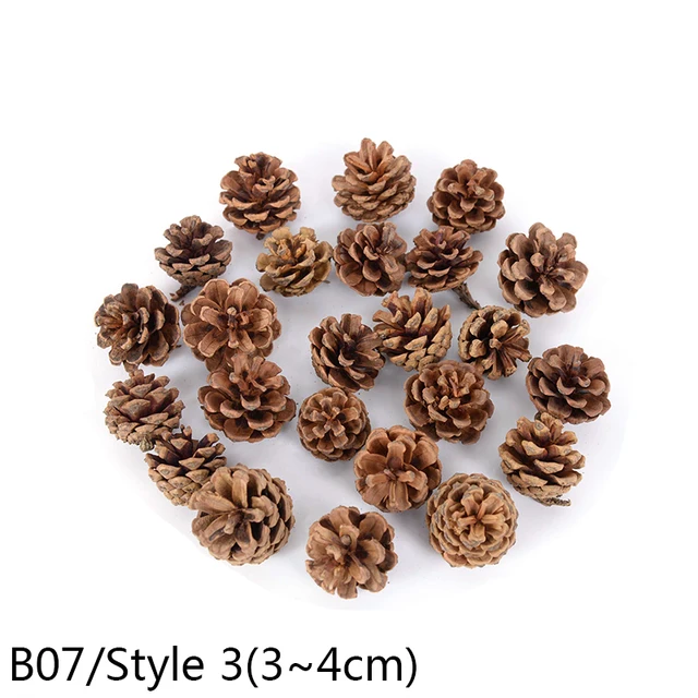 1-10pcs Natural Pine Nuts Fruit Dried Artificial Flower Pineapple Cones for Christmas DIY Garland Wreath Wedding Home Decoration B07-10pcs