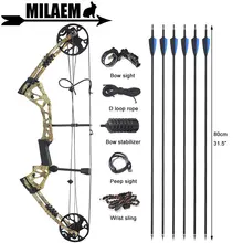 

Archery Compound Bow And Arrow Set 15-70lbs Adjustable Adult IBO 320fps Compound Bow Kit Hunting Equipment Accessories