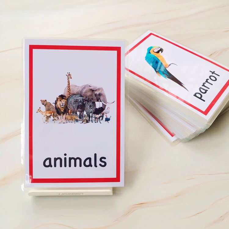 Flash para Crianças Auxiliares de Ensino Inglês Animais Cartões Bebê Crianças Cognitivo Aprendizagem Cartão Palavra Montessori Brinquedos Educativos 72 Pçs 8 Computers & Electronics