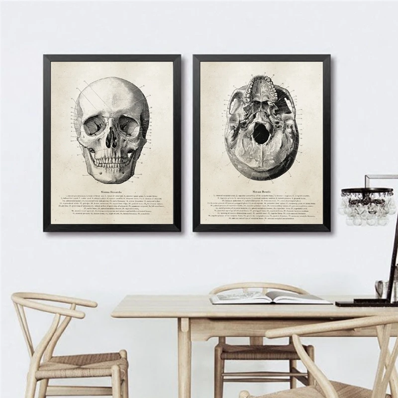 Human Anatomy Wall Art Print Office Decor