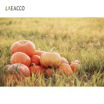 

Laeacco Autumn Photophone Yellow Grassland Field Pumpkin Photography Backdrops Photographic Backgrounds Baby Birthday Photocall