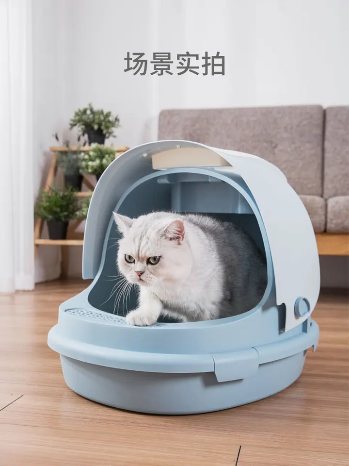 cat toilet sand