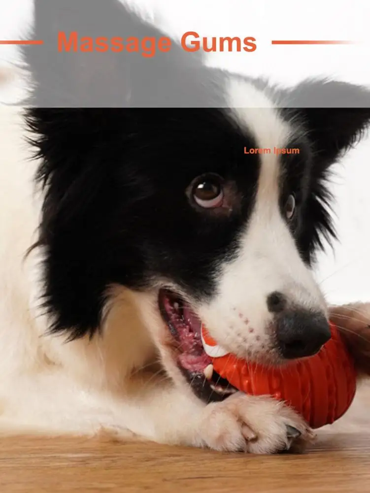 Собака вокальная игрушка укус регби мяч для игры взаимодействие Molars Pet жевательная игрушка для щенка игрушки