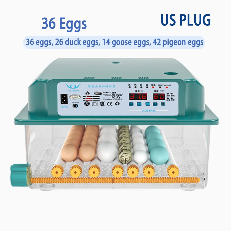 36 Egg US PLUG