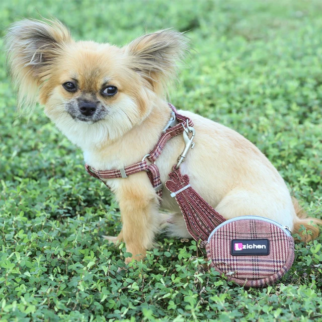 Adjustable Chihuahua Harness and Leash