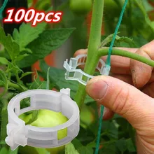 

50/100pcs Plastic Plant Clips Supports Connects Reusable Protection Grafting Fixing Tool Gardening Supplies for Vegetable Tomato