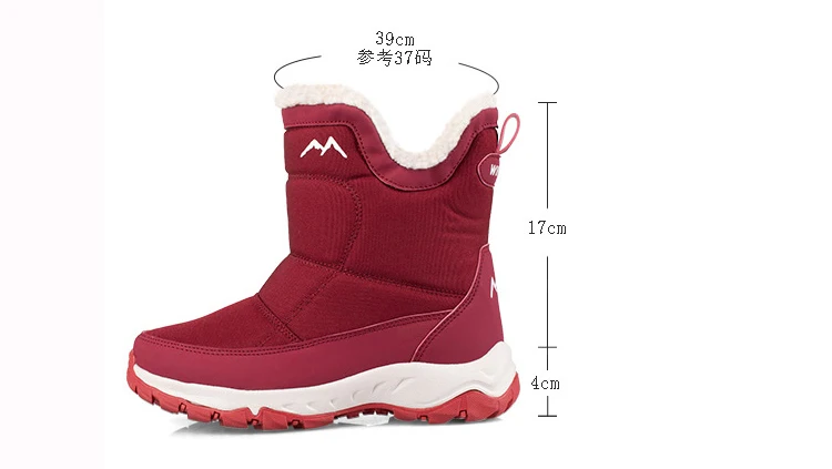 O1CN01nn4dEd2N0i10CxLDx_!!172909901