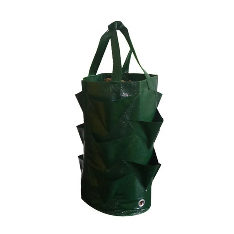 Growing Bag (6)