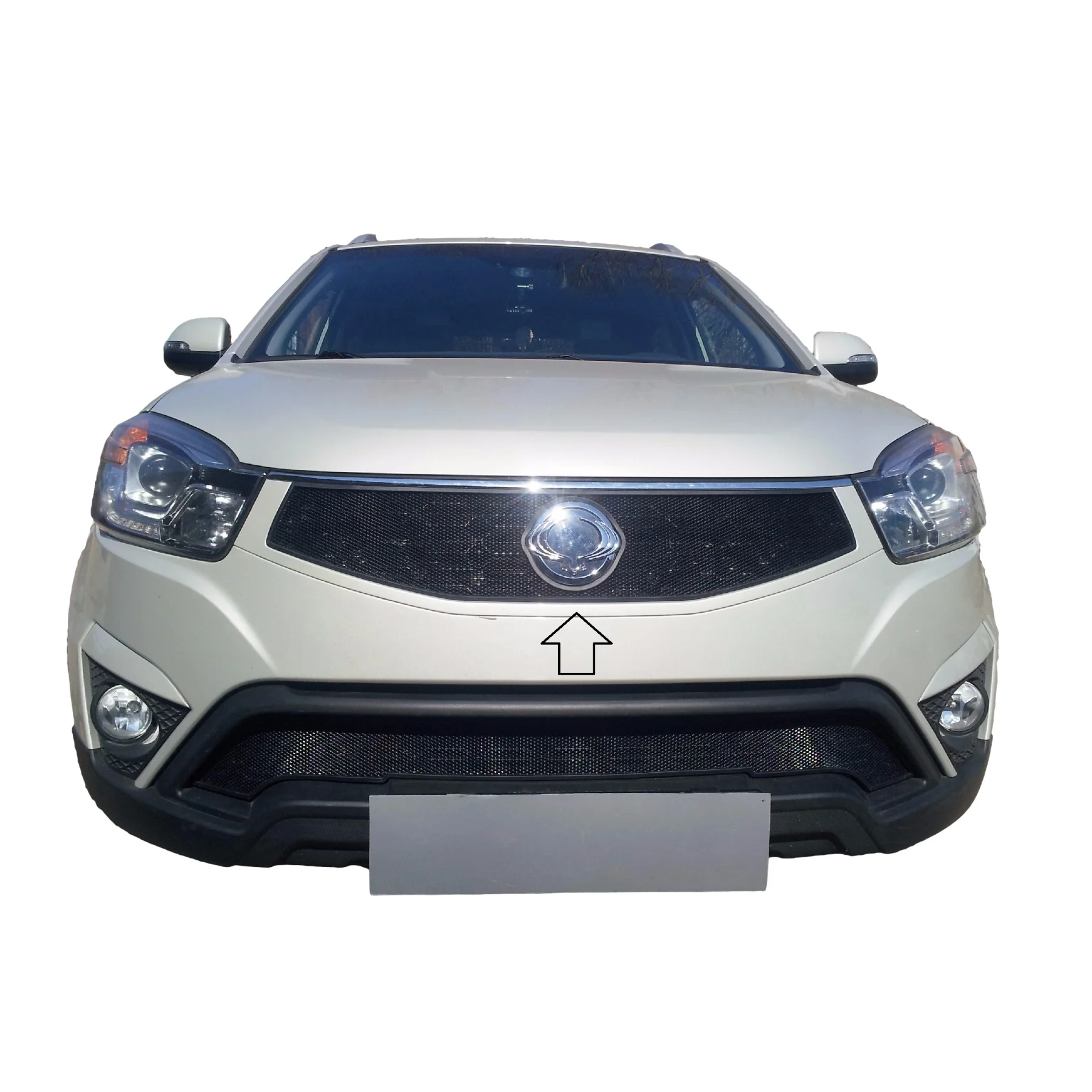 Защитная сетка на решетку радиатора Ssang Yong Actyon 2013,,,,,,, сетка в бампер, защита радиатора