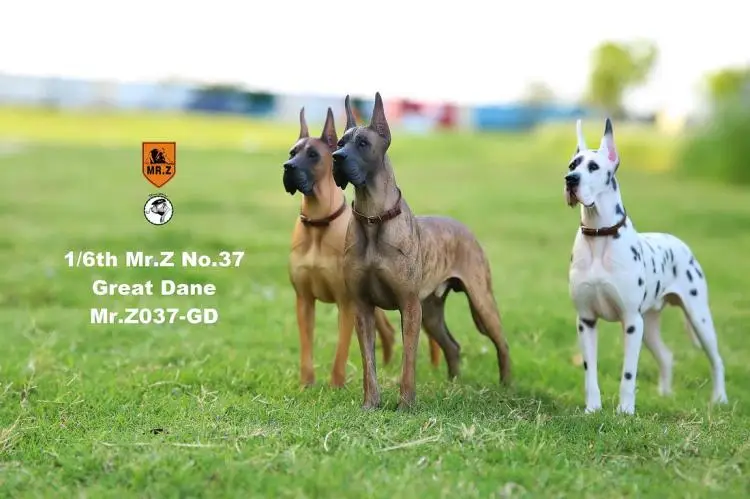 Коллекционная 1/6 весы собака Mr.Z MRZ037 в Пособия по немецкому языку дог (все 6 видов